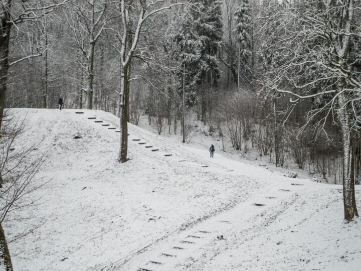 Parque da ONU Vilnius